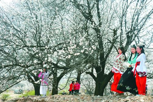 JRS英超直播在线观看 高清英超赛事